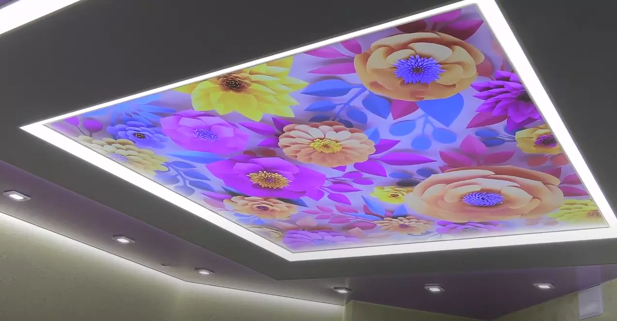 Ростов-на-Дону, проспект Стачки, 208, фото 1